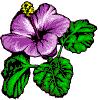 [ ne pleure plus, petite fleur]