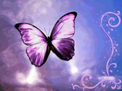 { ne t'inquiète pas, petit Ange }